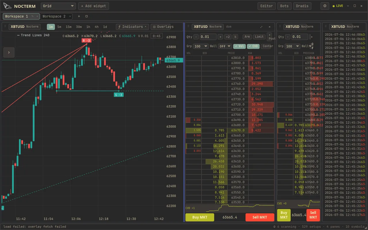 The DOM ladder with bids and asks, working orders, a position marker, and the fills list